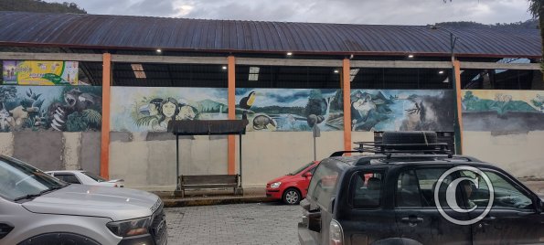 Murals on Av. del Maestro near Francisco de Orellana