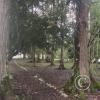 Park alongside the river at Via Bombuscaro and C. Abel Valarezo