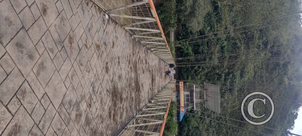 Pedestrian Bridge across the river at the Malecon