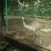 img_0992_17713988778_o