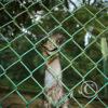 img_0997_17875565136_o