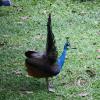 img_1002_17714277038_o
