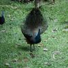 img_1013_17714685548_o
