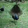 img_1014_17714983350_o