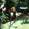 img_1019_17716461169_o