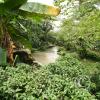 Malaysia Bird Park
