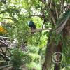 img_1042_17716287488_o