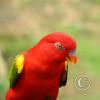 img_1094_17722369148_o
