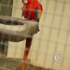 img_1101_17722624118_o