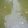 img_1184_17291819633_o