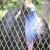 img_1200_17290330964_o