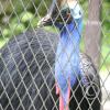 img_1201_17725117458_o
