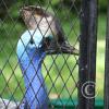 img_1202_17725179368_o