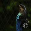 img_1205_17725246428_o