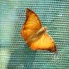 img_1244_17726399590_o