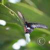 img_1252_17293724273_o