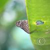 img_1254_17293765953_o