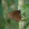 img_1266_17914595335_o