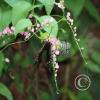 img_1269_17915243611_o