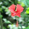 img_1279_17728688759_o