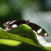 img_1287_17912072962_o