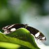 img_1288_17728890739_o