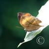 img_1293_17912189082_o