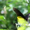 img_1296_17727459028_o