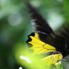 img_1297_17915902201_o