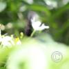 img_1298_17292771124_o