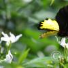 img_1299_17294889423_o