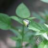 img_1303_17729187129_o