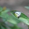 img_1304_17912414772_o