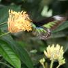 img_1332_17913010342_o