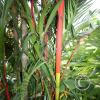 img_1396_17939535041_o