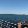 sta_2444-large_22322202025_o