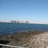 stc_2446-large_22309258882_o