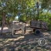 IMG_20230422_110758178_HDR