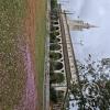 Catedral de Aregua (3)