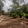 Street view (32)