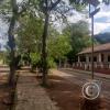 Street view (33)