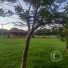Street view (34)