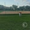 park (2)