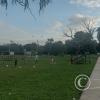 park (3)