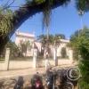 street view (2)
