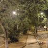 street view (21)