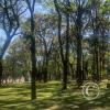 IMG_20230511_113349935_HDR