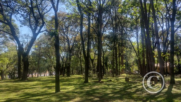IMG_20230511_113349935_HDR