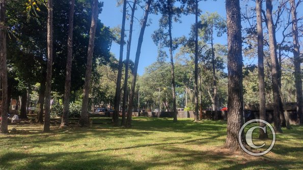 IMG_20230511_113354746_HDR