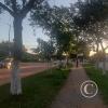 IMG_20230702_164300757_HDR